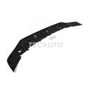 Extensor do parachoque dianteiro - image 2